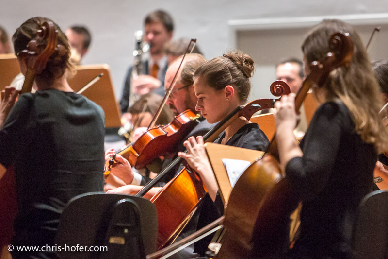 Alumni-Fest 2015 Universität Salzburg, 2015-06-13, Foto: Chris Hofer
