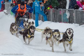 Bilder :: Schlittenhunderennen Werfenweng 2017